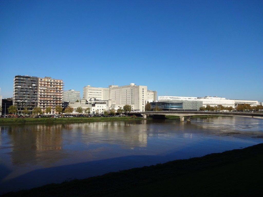 Nantes  Loire Hiver