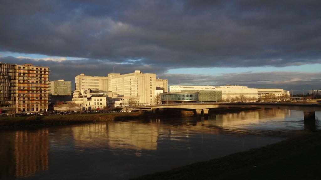 Nantes  Loire Hiver