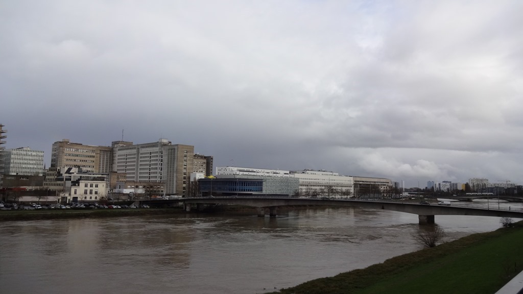 Nantes  Loire Hiver